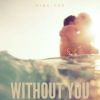 Download track Without You (Instrumental)