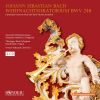 Download track Weihnachtsoratorium BWV 248- Chor- Herrscher Des Himmels, Erhöre Das Lallen (Da Capo)