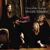 Download track Schubert- String Quartet # 13 In A Minor, Op. 29, D 804, Rosamunde - 4. Allegro Moderato