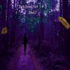 Download track Dark Forest Part Two (The Escape)