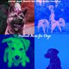 Download track Magical Moods For Cute Puppies