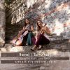 Download track Sonata For Violin & Cello, M. 73- III. Lent