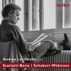 Download track Idyll And Abyss. Six Schubert Reminiscences For Piano: VI. Traurig, Desolat