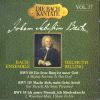 Download track Kantate BWV 80: Ein Feste Burg Ist Unser Gott