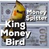 Download track King Money Bird