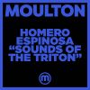 Download track Sounds Of The Triton (808 Mix)