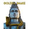 Download track Golden Snake Dancing Madly (Electronic Version)