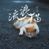 Download track 流浪猫 (和声伴奏版)