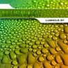 Download track Luminous (Original Mix)