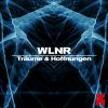 Download track Träume & Hoffnungen (Roshan Remix)