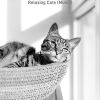 Download track Relaxing (Relaxing Cats)