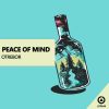 Download track Peace Of Mind