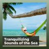 Download track Remarkable Ambiance Of The Beach