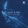 Download track Organ Concerto In D Minor, BWV 596 (After Vivaldi's RV 565) II. Largo E Spiccato