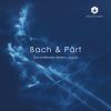 Download track Passacaglia & Fugue In C Minor, BWV 582 I. Passacaglia