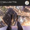 Download track Crazy Like This (Extended Mix)