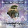 Download track Post Modern Algorythm (Futurum Sonat Remix)