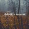 Download track Melodías Serenas