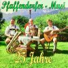 Download track Auf Der Waldler Alm - Boarischer