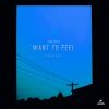 Download track Want To Feel (Orville Kline Remix)