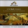 Download track Toccata, Adagio And Fugue In C BWV 564 Adagio