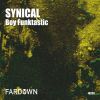 Download track SYNICAL