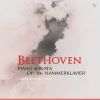 Download track Beethoven: Piano Sonata No. 29 In B-Flat Major, Op. 106 