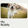 Download track Calming Music For Stressed Dogs, Pt. 6