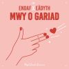 Download track Mwy O Gariad (Instrumental)