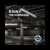 Download track The Hurricane (DJ B. O. N. Y. Mix)