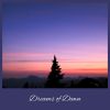 Download track Aurora Dreams