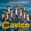 Download track Fiesta Huapanguera