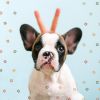 Download track Subtle Backdrops For Calming Pups