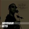 Download track While Seymour Sleeps