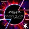 Download track Goodbye (Don't Forget That You Were Mine) 2018 (Arseniy & Niki Remix)