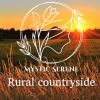 Download track Rural Morning Vivid Birds