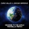 Download track Message To The World (Ridwello Extended Mix)