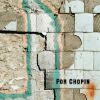 Download track For Chopin