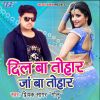 Download track Dil Ba Tohar