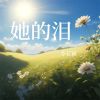 Download track 错过爱情