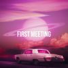 Download track First Meeting