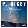 Download track Sky Rider