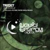 Download track Acid Jungle (Ico Pres. Twisted Design Remix)