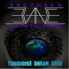 Download track Turquoise Dream Seed (2nd Coming)