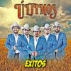 Download track El Canto De Las Cuerdas