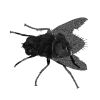 Download track Housefly