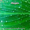 Download track Regen, Pt. 25