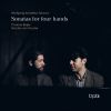 Download track Sonata For Piano Four-Hands In F Major, KV 497 I. Adagio - Allegro Di Molto