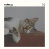 Download track Cat Relaxation Music, Pt. 19