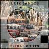 Download track Tribal Roots (Original Mix)